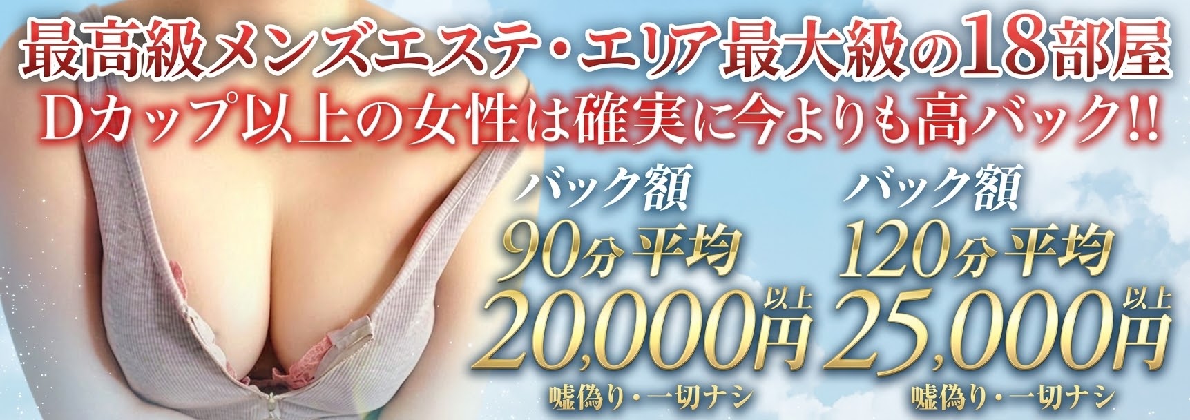 NEW+PLUS ~ニュープラス~のバナー